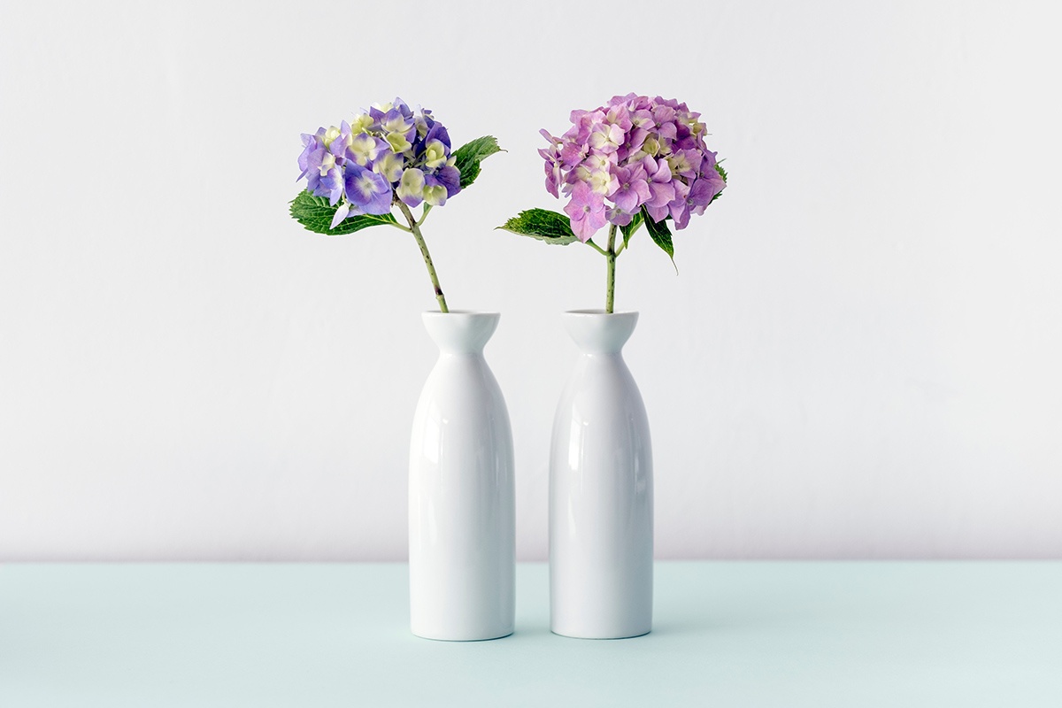 Image of flowers in two white vases
