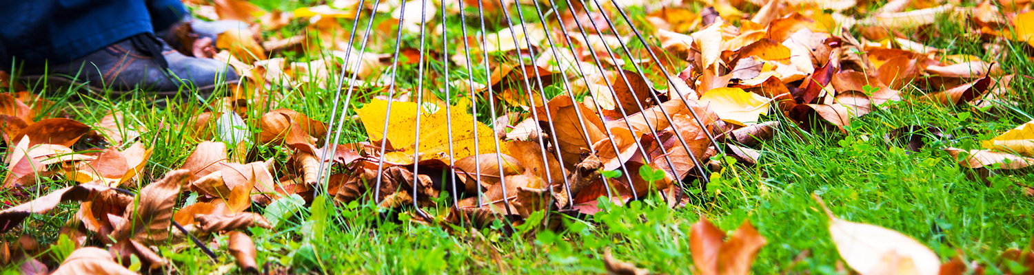 Image of leaf pile and person holding rake