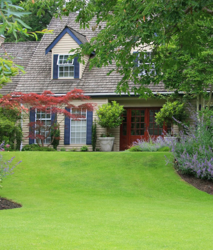 Image of house behind perfect lawn