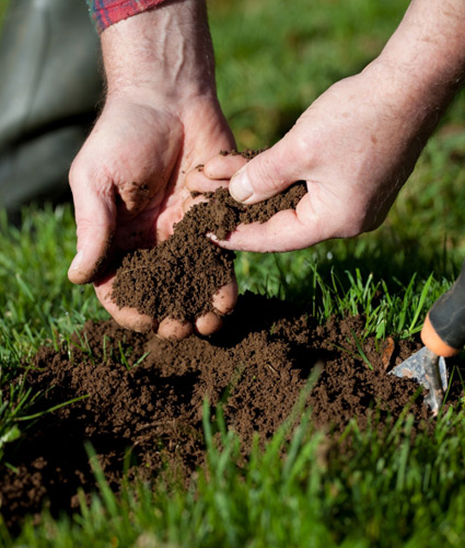 Image of hands examining soil in lawn