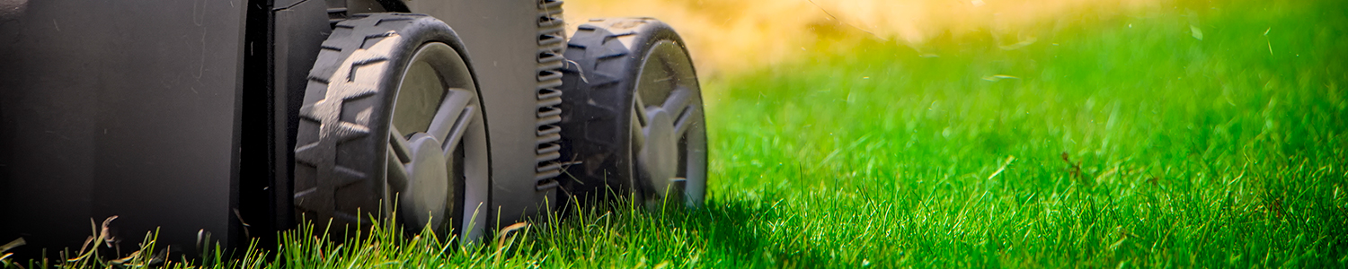 Close up image of wheels running through the grass