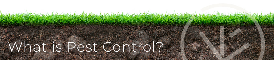 What is pest control header image