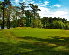 Image of golf course green with red flag