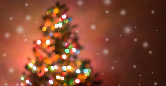 ambient holiday lights on tree