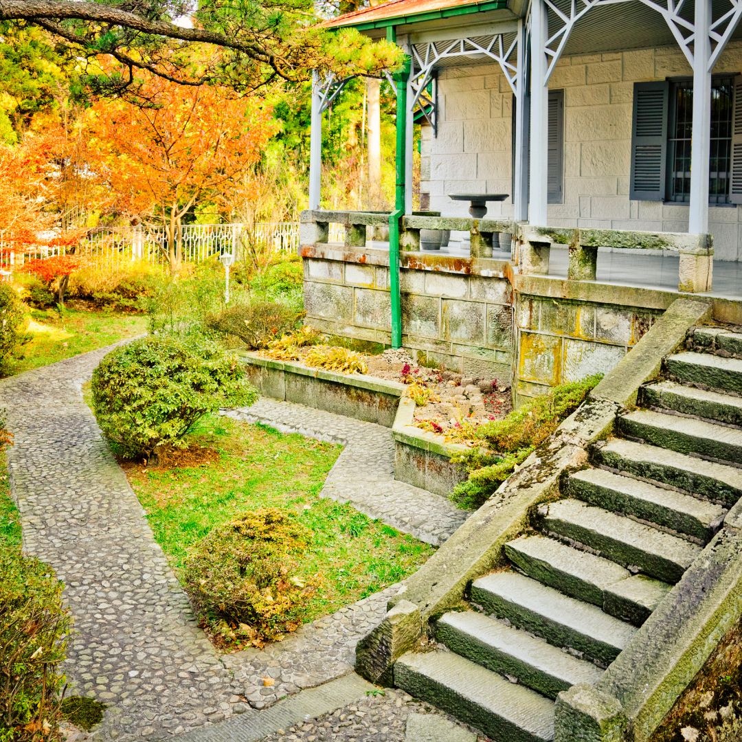 Landscaped yard in the fall
