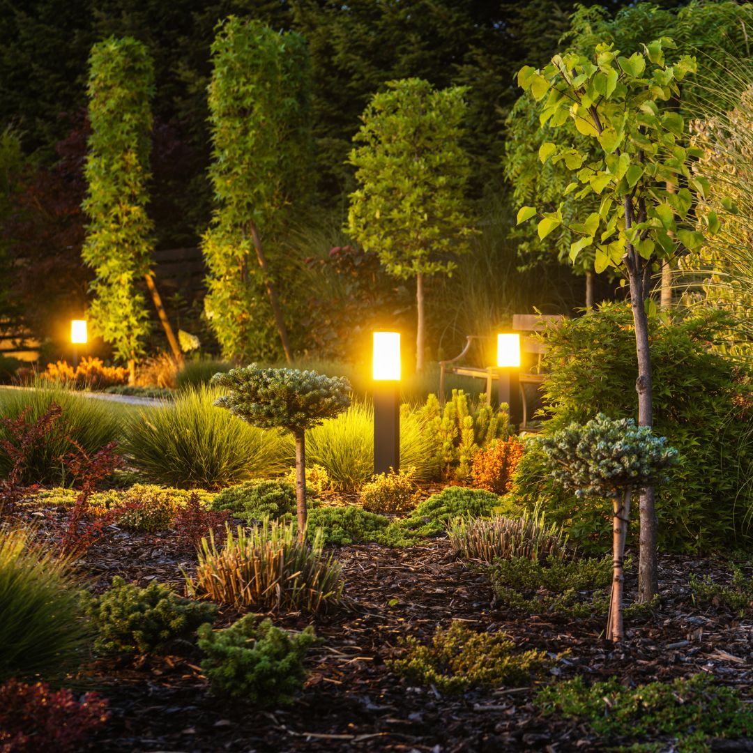 landscaping and lighting